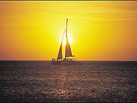 Aruba's Palm Pleasure Sunset Sail