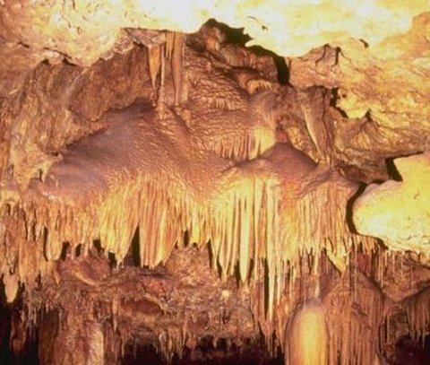 San _Juan_ Rio _Camuy _Cave _Park -and _Arecibo -Observatory