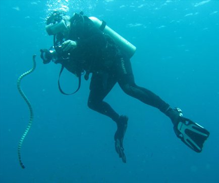 Trinidad & Tobago _Scuba_ Diving