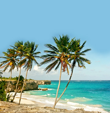  Barbados tourist