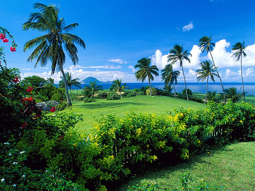 The islands of Saint Kitts and