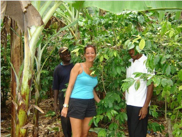 Traverse Jamaica Authentic Sightseeing Tours