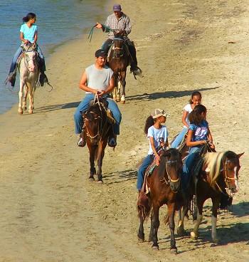 aruba horse back riding