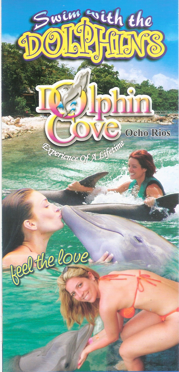 dolphon cove ocho rios jamaica
